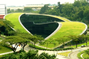 Green Roofing